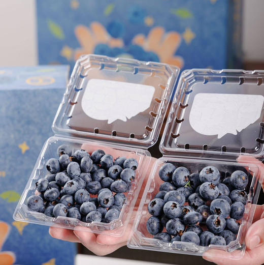 【2026当季】花香蓝莓 云南高原 口感脆甜 花香浓郁 商品图2