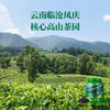 [2025年春茶]八马茶业 | 抱春系列·云南临沧凤庆明前绿茶大规格散装180g 商品缩略图2