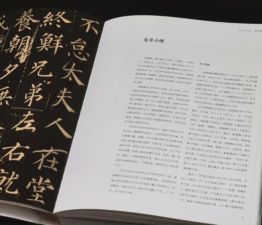 《中国书法艺术大师：颜真卿》，8开平装，铜版彩印，曾翔著，河北美术出版社2009年一版一印，312页，定价180，售价70元。品相95成。 商品图4