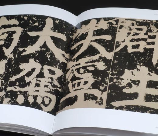 《中国书法艺术大师：颜真卿》，8开平装，铜版彩印，曾翔著，河北美术出版社2009年一版一印，312页，定价180，售价70元。品相95成。 商品图9