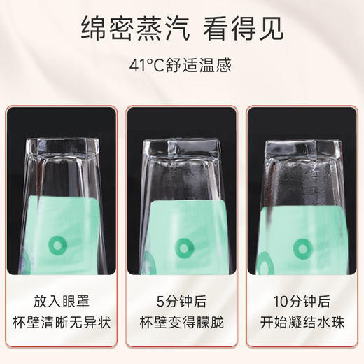 艾修堂  热敷蒸汽眼罩 （6片装）  AP1EE-01 商品图3