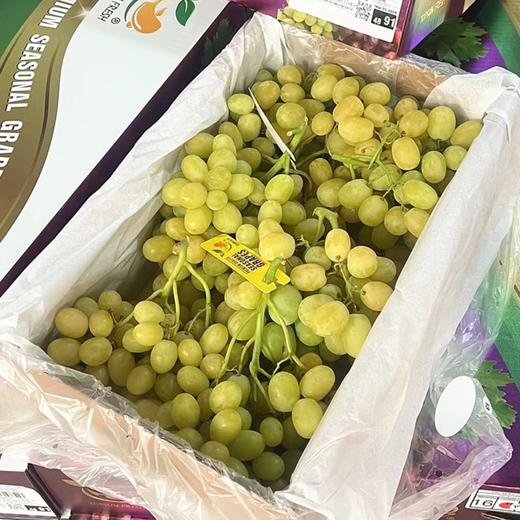 有糖果味的~智利进口棉花糖青提【XL规格】：无籽，形如羊脂美玉，皮薄肉脆，爽口多汁，甜度非常高。 商品图5