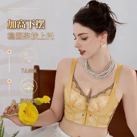 【圣迪班尼-多喝水】功能型欧若风收副乳上托蕾丝刺绣文胸23553