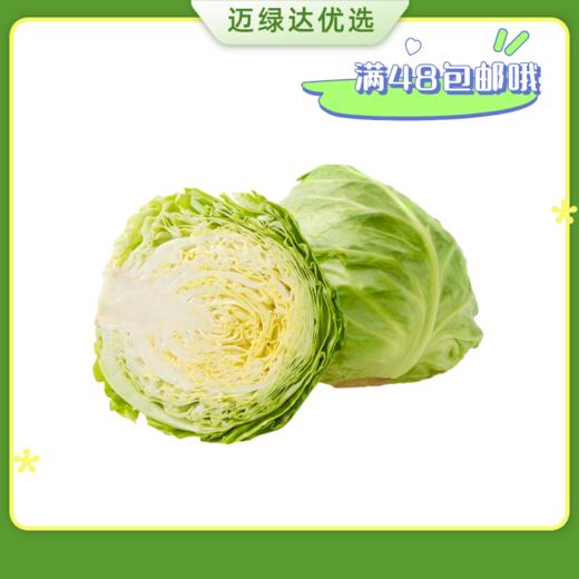 迈绿达优选【包菜】莲花菜  1个2.3斤左右 商品图0