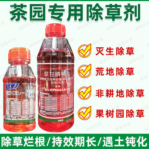 茶园专用除草剂正品草甘膦胺盐柑橘果园专用强力除杂草烂根剂批发 商品图2