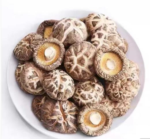 四川广元青川山珍高山生态花菇200g 商品图1