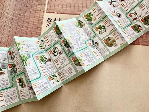 漫画黄帝内经精装版（全2册），随书赠中华中草药思维导图 商品图6