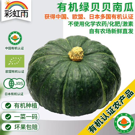 彩虹雨 新鲜有机蔬菜 绿贝贝南瓜500g 商品图0