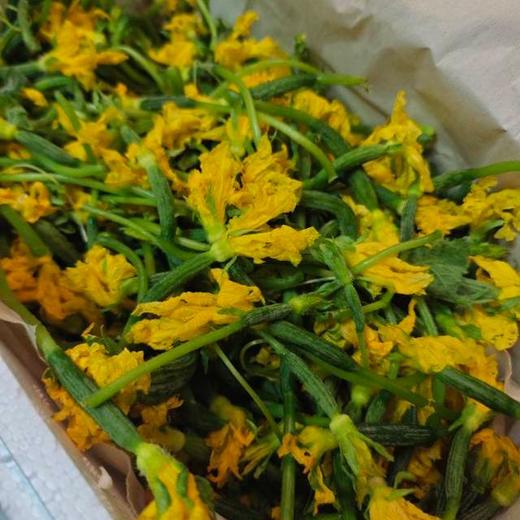 黄瓜花 | 现摘现发 新鲜直达 脆嫩鲜甜 自然馈赠的春日珍馐 现摘现发  幼嫩期 脆嫩多汁 带淡淡回甘 比普通黄瓜更鲜甜 商品图4