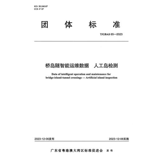 桥岛隧智能运维数据 人工岛检测T/GBAS 65—2023 商品图3