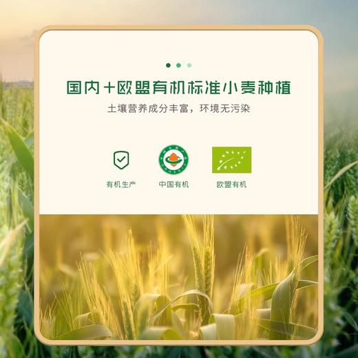 元溢慷·有机原味儿童小面条 200g*3  细软好吞咽 面质筋道 商品图3