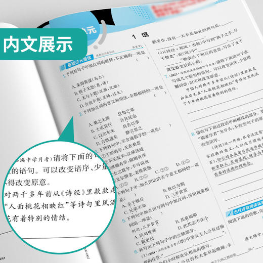 高中语文选择性必修(下) 人教版(配套新教材) 实验班全程提优训练 商品图3