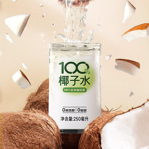 【分仓直发包邮】南国椰子水250ml*6 商品图1