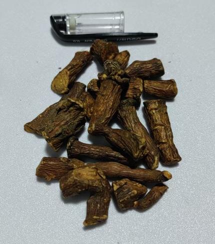 蒲公英根 手选大号货  250克/罐 商品图1