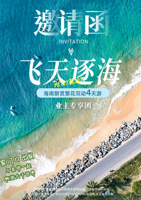 飞天逐海·醉赏繁花海南 飞天逐海·醉赏繁花双动五天