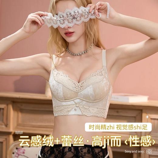 SDIBANNY圣迪班尼【伦敦画报】山茶花无钢圈上托文胸罩23634 商品图2