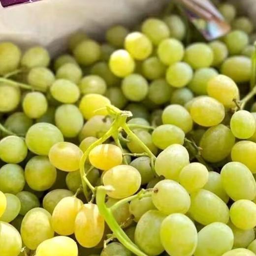 有糖果味的~智利进口棉花糖青提【XL规格】：无籽，形如羊脂美玉，皮薄肉脆，爽口多汁，甜度非常高。 商品图2