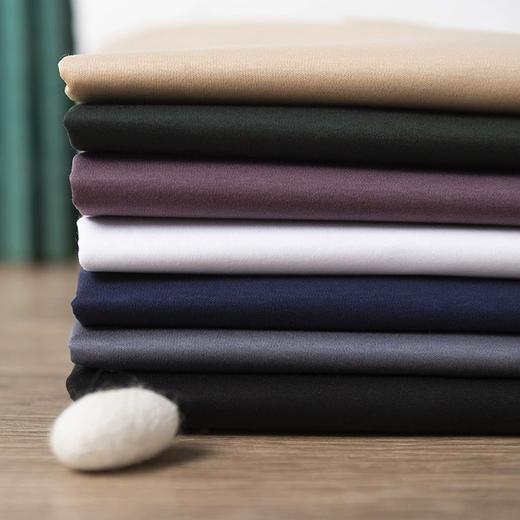 岸纾 优选100％长绒棉双面丝光棉长袖翻领T恤POLO衫190克（7色可选）  商务经典百搭海岛棉内搭抗皱不易变形好打理P1015 商品图2