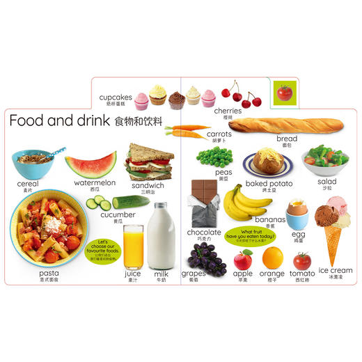 “DK儿童认知百科”系列：《 四季如歌》《日常生活》《开心农场》（全3册） 商品图13