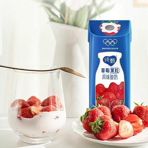 纯甄风味 草莓果粒200g*10盒 商品图2