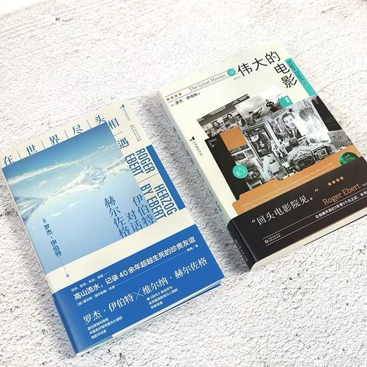 伟大的电影：终章+在世界尽头相遇 +帆布包 影评访谈鉴赏影视创作 电影艺术书籍 后浪正版现货 商品图3