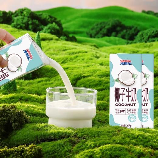【来思尔椰子牛奶】 206g*16盒整箱批发网红椰汁风味成人学生早晚餐奶 商品图2