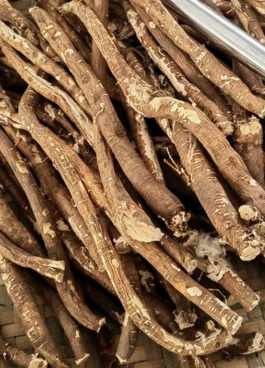 高原野生黄芪 商品图2