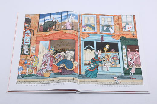 白兔夫人精装本 爱丽丝漫游奇境记之白兔番外篇 法国面包树奖得主吉尔巴什莱作品 儿童文学6到12岁 童话故事书  浪花朵朵 后浪出版 商品图6