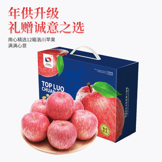 【年供款】 顶端果业洛川红富士苹果16枚90mm特大果蓝色礼盒全年月供12箱 商品图0