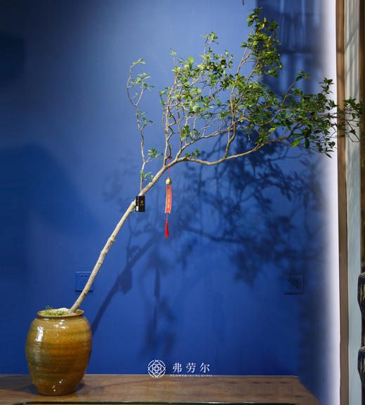 造型栀子花（米黄色盆） 商品图0