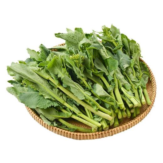 板蓝根青菜250g 商品图2