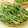 板蓝根青菜250g 商品缩略图0