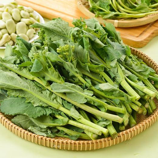 板蓝根青菜250g 商品图0