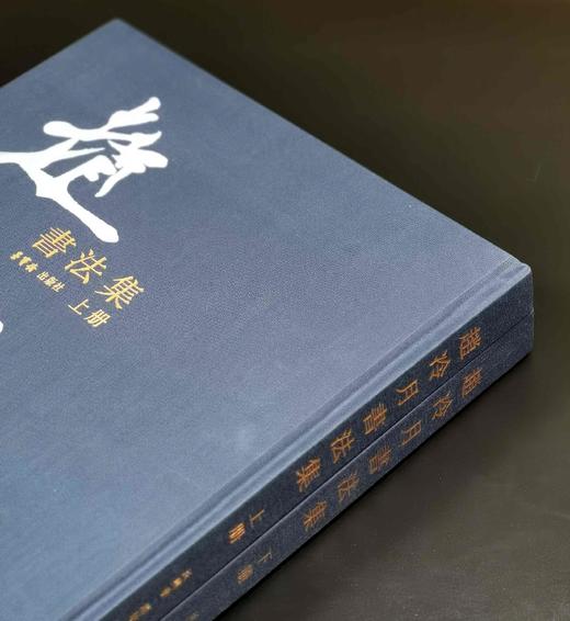 绝版稀见！！《赵冷月书法集》，正8开，布面精装，全2册，赵冷月著，沃兴华编，荣宝斋出版社2015年一版一印，358页，定价1280，售价298元。 商品图2