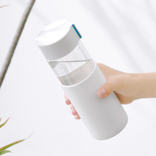 茶花欧铂兹单层玻璃杯480 商品图0