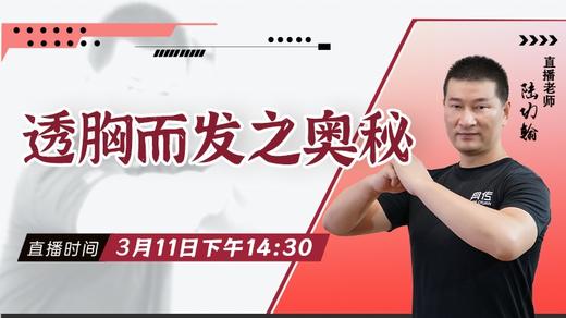 【3月11日 】透胸而发之奥秘 商品图0