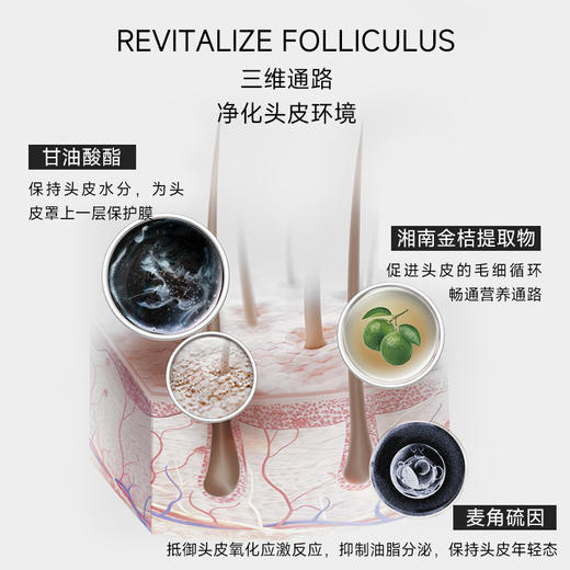 【2025升级版】Dr.Watanabe丸治益生焕发韧发NMN焕黑丸 商品图8