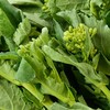 板蓝根青菜250g 商品缩略图1