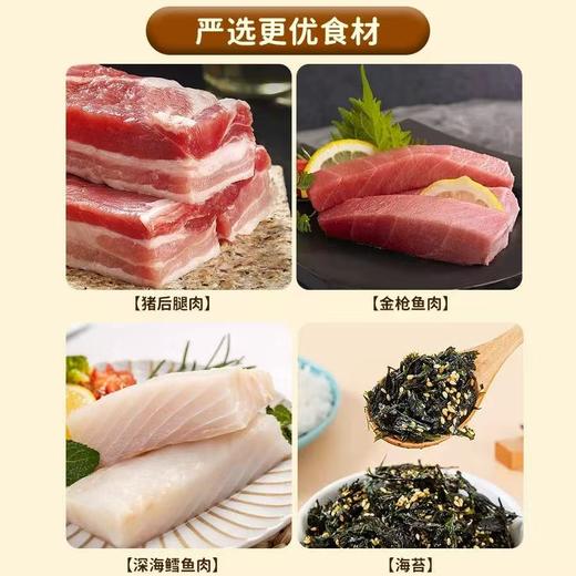 祯奖无糖肉松（原味）168g 商品图3