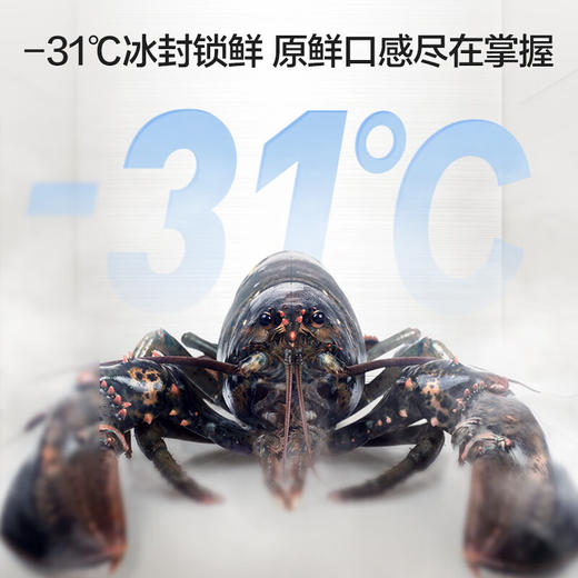 容声（Ronshen）556升 对开门 双变频冰箱 风冷无霜 干湿可调抽屉 -31℃冰封锁鲜 360°立体环绕送风 一级能效BCD-556WVS1HPC 商品图2