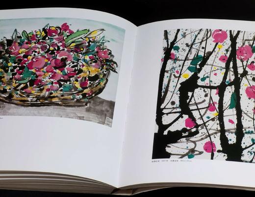 绝版！！《世界艺术大师：吴冠中（续）》，8开，平装，铜版彩印，吴冠中著，吴可雨编，河北美术出版社2010年一版一印，248页，定价160，售价88元。品9-9.5成。 商品图12