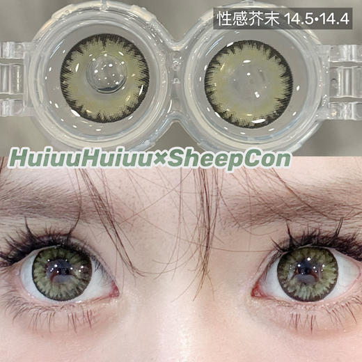 【大直径】Sheepcon-迷人烟灰/甜甜栗子/酒心软糖/焦茶蔷薇/性感芥末-14.5mm【年抛 0-1000度 含有525/575】 商品图3