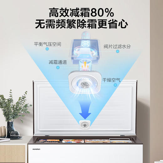 容声（Ronshen）301升 大容量冰柜 单温冷柜 大冷冻力 减霜80%  带轮带菜篮 一级能效 4DS速冻系统 PCM内胆 BD/BC-301ZEAM/RX 商品图4