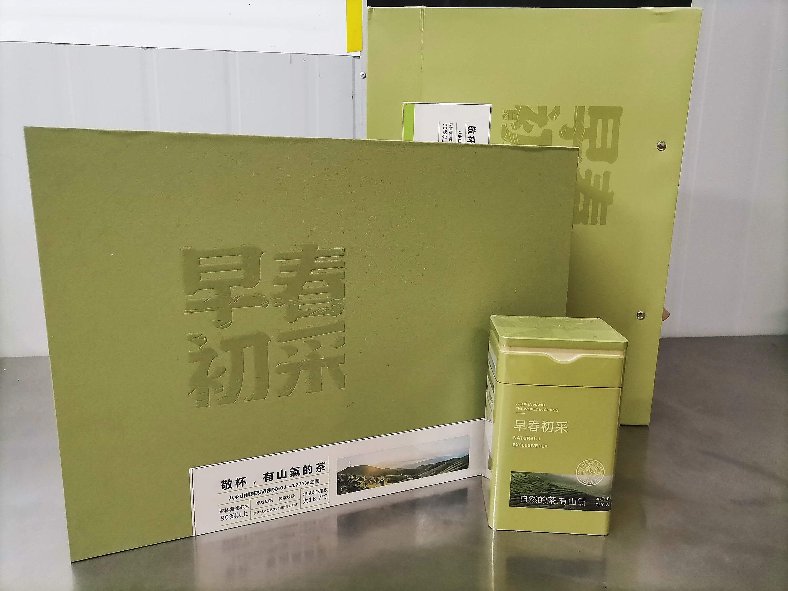 八乡早春初采绿茶