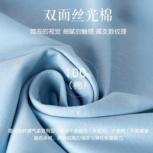 岸纾 100%新疆长绒棉双面丝光棉短袖POLO衫170克（7色可选）P1003 商品图2