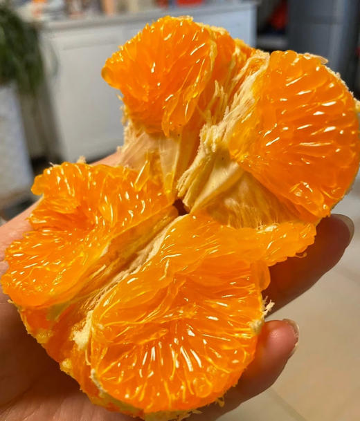 高山阿蜜达蜜柑，新品种！结合了耙耙柑，果冻橙的所有优点！纯天然种植不打糖，不打药，糖度18，新鲜下树！一份5斤/袋 商品图0