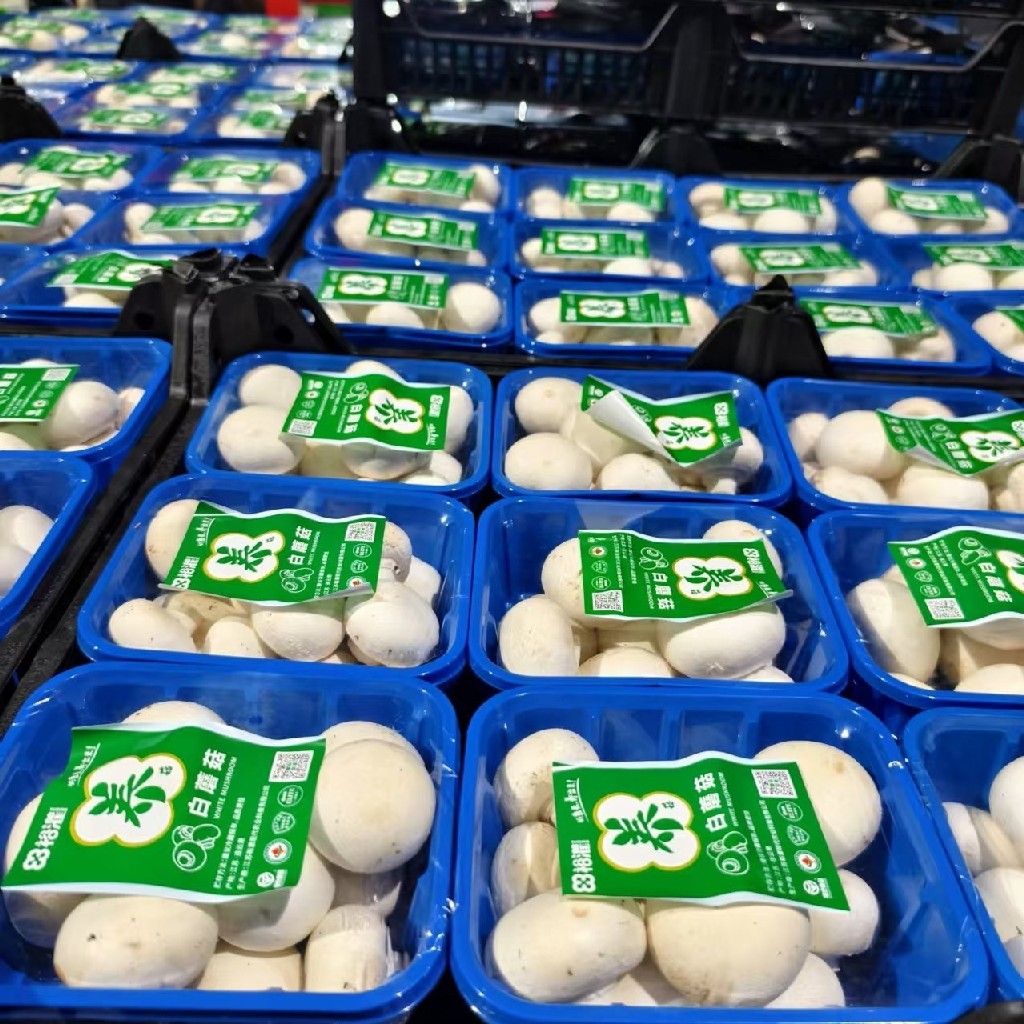 白蘑菇5.5元／盒，明天到