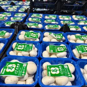 白蘑菇5.5元／盒，明天到