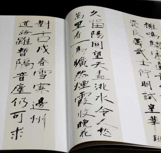 绝版稀见！！《赵冷月书法集》，正8开，布面精装，全2册，赵冷月著，沃兴华编，荣宝斋出版社2015年一版一印，358页，定价1280，售价298元。 商品图11