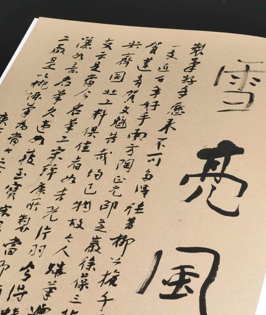 绝版稀见！！《赵冷月书法集》，正8开，布面精装，全2册，赵冷月著，沃兴华编，荣宝斋出版社2015年一版一印，358页，定价1280，售价298元。 商品图8